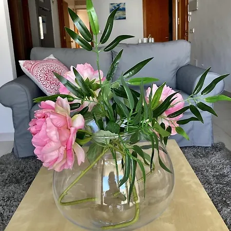 Puerto Town Centre With Balconies And Shared Pool Four Minutes From Beach Apartment Pollenca
